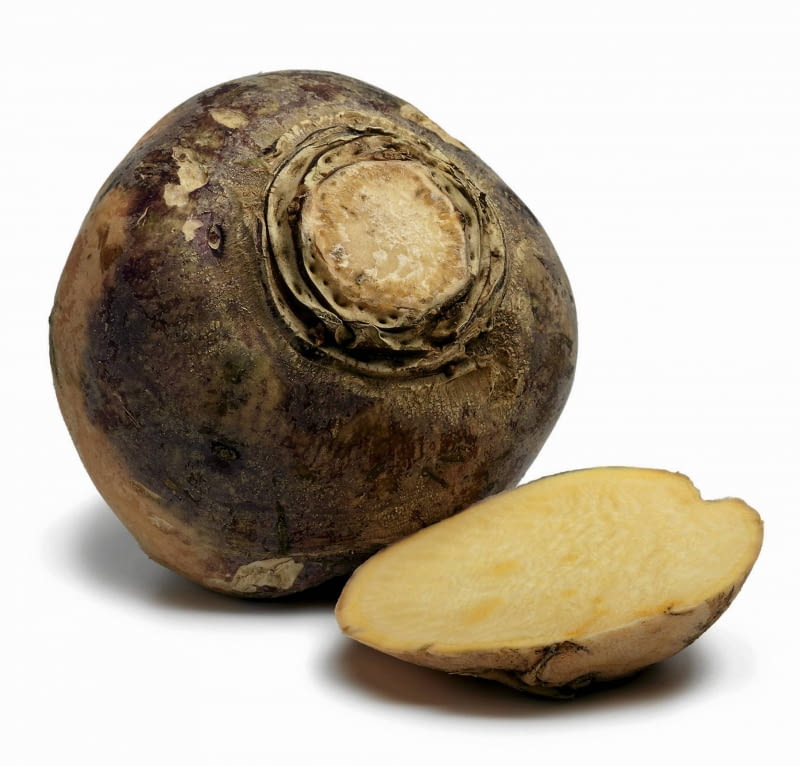 Brukiew ma kulisto-owalny korzeń i żółty miąższ.