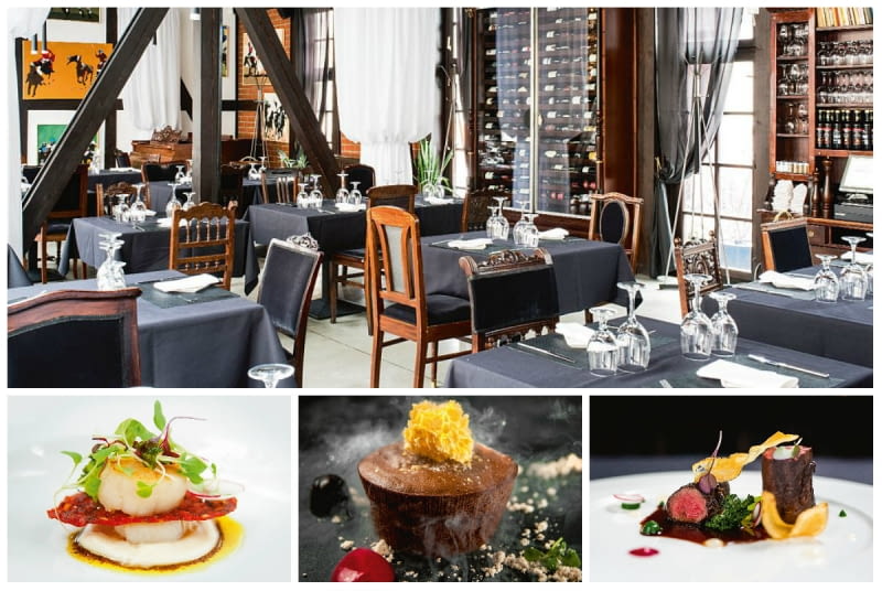 . Restauracje, Studio Qulinarne