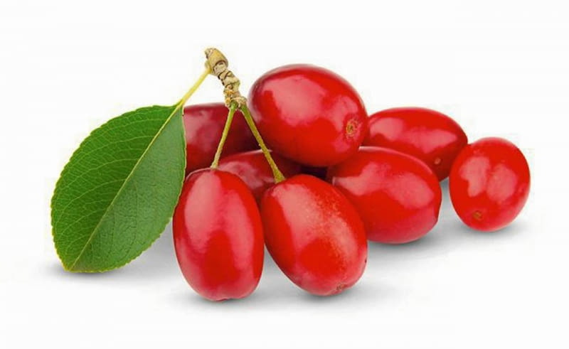 Dereń jadalny - owoce Dereń jadalny