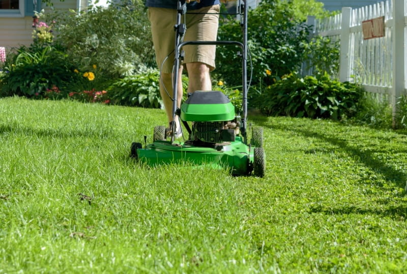 Dlaczego warto posiadać kosiarkę spalinową z napędem? Dlaczego warto posiadać kosiarkę spalinową z napędem?