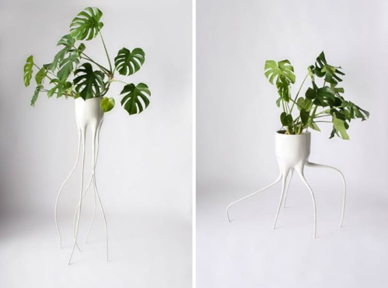 Monstera, czyli potworna doniczka; proj. Tim van de Weerd monstera, doniczka, design, projekt, ciekawy projekr