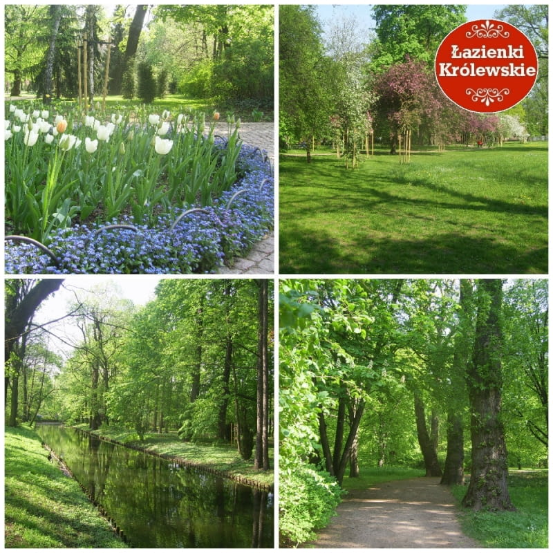 Przewodnik po Łazienkach Królewskich [Ogród Modernistyczny]