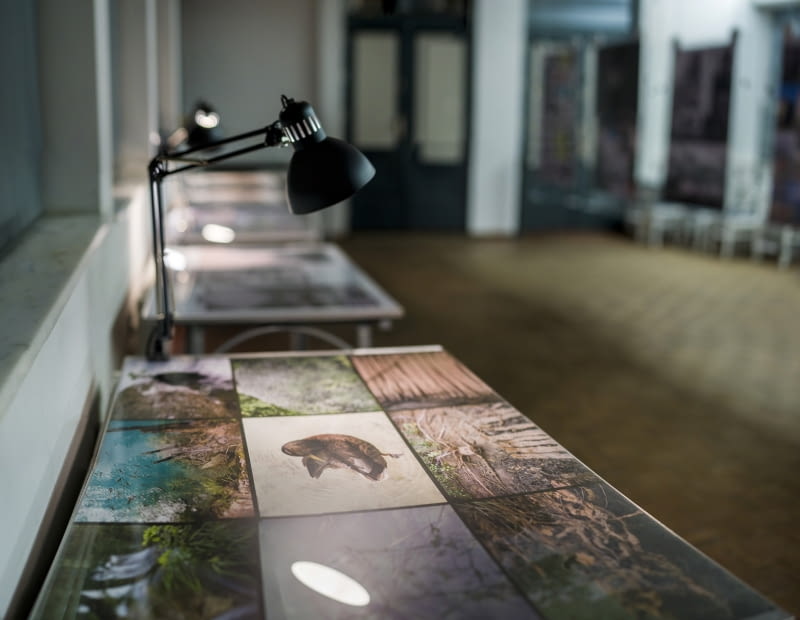 Wystawa „Zdjęcia Architektów" w Przystanku Architektura