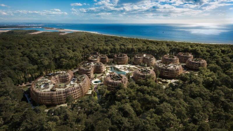 Silva Maris na Wyspie Sobieszewskiej