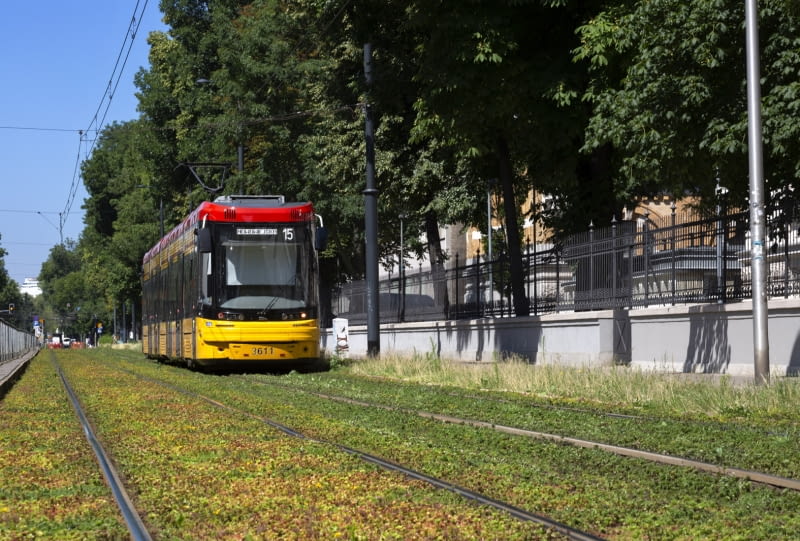 Zielone torowisko Zielone torowisko