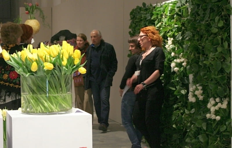 Wystwa tulipanów w Wilanowie