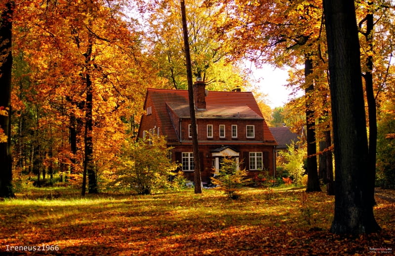 Kolonia amerykańska w Katowicach Kolonia amerykańska w Katowicach