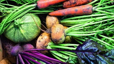 Morinka shutterstock