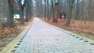 Kostka Bauma w Lesie Bielańskim Kostka Bauma w Lesie Bielańskim