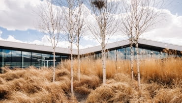 Ogród na dachu Galerii Północnej, Warszawa