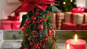 ONE TIME USE ONLY DO JEDNOKROTNEJ PUBLIKACJI SWIETA BOZE NARODZENIE WYKONANIE DEKORACJI SWIATECZNEJ CHOINKI - Z MUCHU , GALAZEK SWIERKA KLUJACEGO , RAJSKICH JABUSZEK , OWOCOW IRGI I POINSECJI FOT. STARS FOR EUROPE PUBLIKACJA KWIETNIK NR 12 (168) - 12 2008 PUBLIKACJA CZTERY KATY NR 12 (254) - 12 2012 SLOWA KLUCZOWE: BOZE NARODZENIE SWIETA ROSLINY ZDJĘCIE DO WKŁADKI: PUBLIKACJA KWIETNIK NR 12 (168) - CZASOPISMA