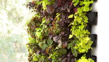 Zielone ściany VERSA GARDEN HYDROPONIC PLUS Zielone ściany