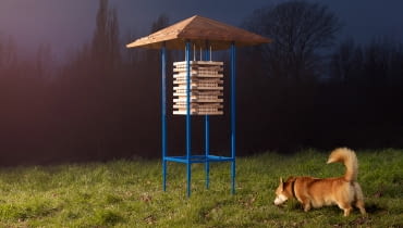 Wildhomes for Wildlife. Wildhomes for Wildlife.