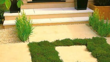 Mocny geometryczny akcent - kontrastowe zestawienie jasnych płyt kamiennych i zielonolistnej macierzanki. Wyobraźmy sobie efekt, gdy roślina zakwitnie. Mocny geometryczny akcent - kontrastowe zestawienie jasnych płyt kamiennych i zielonolistnej macierzanki. Wyobraźmy sobie efekt, gdy roślina zakwitnie.