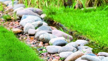 w zagłębieniu terenu położono czarną agrowłókninę i usypano na niej kamienie. Taką 'rynną' nadmiar wody spływa z trawnika.