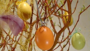 Dekoracje wielkanocne. Powyginane i jaskrawo ubarwione gałęzie ozdobnych wierzb (jest już kilka takich odmian) same w sobie są dekoracyjne , zwłaszcza, gdy pojawia się na nich zieleń listków. Dla większego efektu przybierzmy je wydmuszkami i pórkami. 09.04.2004 WARSZAWA KOMPOZYCJE WIELKANOCNE KWIATY DEKORACJE ZONKILE FOT. WOJCIECH SURDZIEL / AGENCJA GAZETA