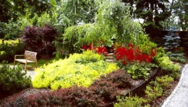 Nasyp ziemny obsadzony drzewami i krzewami. Jest tu kolorowo, zacisznie i zupełnie nie widać wjazdu na posesję, który znajduje się za zieloną zasłoną. Nasyp ziemny obsadzony drzewami i krzewami. Jest tu kolorowo, zacisznie i zupełnie nie widać wjazdu na posesję, który znajduje się za zieloną zasłoną.