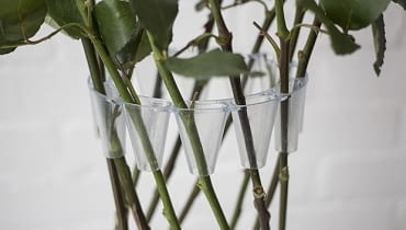 Crown - gadżet do układania kwiatów; proj. Lambert Rainville układanie kwiatów, kwiaty w domu, jak układać kwiaty