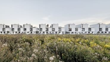 Brzozowy Las Brzozowy Las