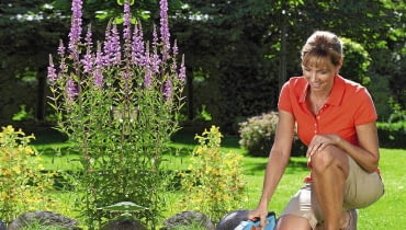 Wysokie kępki trawy, które pozostają na obrzeżach skoszonej murawy w miejscach niedostępnych dla kosiarki, psują wygląd trawnika i rabat. Warto poświęcić trochę czasu, by je wyciąć. Ułatwią nam to specjalne nożyce do trawy.