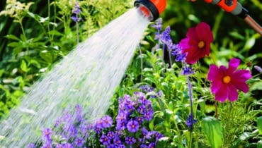 Nie ma to jak chłodny, życiodajny prysznic po suchym, upalnym dniu. Może to nam zapewnić pomocna dłoń sąsiada, firma ogrodnicza lub wielofunkcyjny sterownik do nawadniania ogrodu. Nie ma to jak chłodny, życiodajny prysznic po suchym, upalnym dniu. Może to nam zapewnić pomocna dłoń sąsiada, firma ogrodnicza lub wielofunkcyjny sterownik do nawadniania ogrodu.