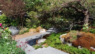 Fot. 1 Wystawa Chelsea Flower Show 2010