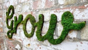 Roślinne graffiti, proj. Anna Garforth, źródło: www.annagarforth.co.uk