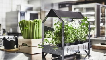 Chcesz mieć zawsze świeże zioła do gotowania? Załóż miniuprawę w swojej kuchni. Chcesz mieć zawsze świeże zioła do gotowania? Załóż miniuprawę w swojej kuchni.