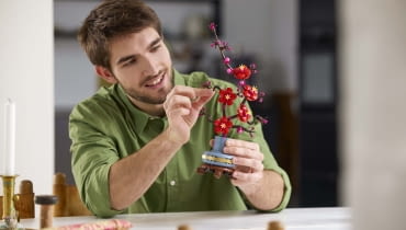 Roślinne lego Roślinne lego