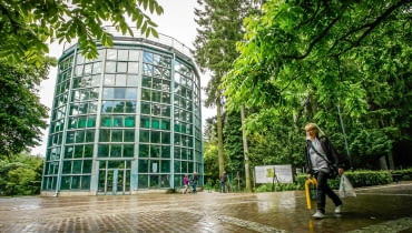 Palmiarnia w Parku Oliwskim 22.06.2014 Gdansk . Park Oliwski Palmiarnia . Fot. Dominik Sadowski / Agencja Gazeta