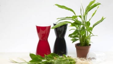 10.03.2008 WARSZAWA SESJA KWATY WE WNETRZU NZ ROSLINY KWIATY SKRZYDLOKWIAT UPRAWA HYDROPONICZNA STYLIZACJA ANETA KOSIBA DLA CZASOPISMA CZTERY KATY FOT. ARKADIUSZ SCICHOCKI / AGENCJA GAZETA PUBLIKACJA CZTERY KATY NR 5 (199) - 5 2008