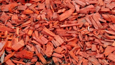 Kora ogrodowa Kora ogrodowa