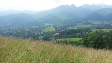 Tatrzańskie łąki i hale Tatrzańskie łąki i hale