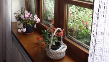 150-550 zł - tyle kosztuje 1 m parapetu (3 cm grubości, 30 cm szerokości) z drewna OLYMPUS DIGITAL CAMERA