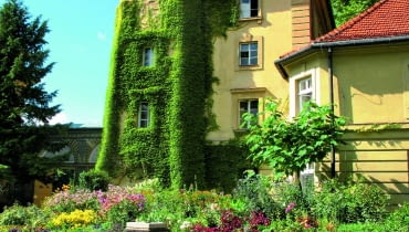 Fragment zamku w Łańcucie z wieżą porośniętą winobluszczem. U jej stóp widoczna rabata bylinowa i zegar słoneczny.