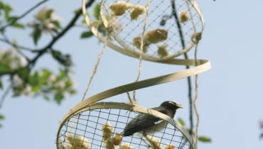Karmnik dla ptaków, karmnik ze stalowej siatki Karmnik dla ptaków, karmnik ze stalowej siatki