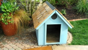 M-2 dla psa. Dzięki oknu wyciętemu pod dachem (nad wejściem) pies może podziwiać świat stojąc na czterech łapach.