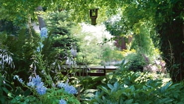 Ogród musi mieć nastrój - tutaj budują go kontrasty światła i cienia, oraz dobrane do tych warunków zestawy roślin. Ogród musi mieć nastrój - tutaj budują go kontrasty światła i cienia, oraz dobrane do tych warunków zestawy roślin.