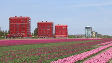 Almere, źródło: wikipedia.org Almere, źródło: wikipedia.org