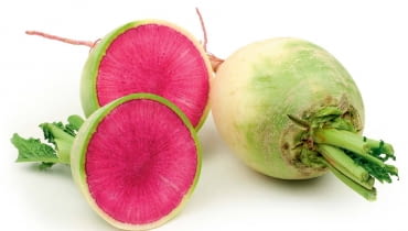 Rzodkiew Redhart (Raphanus sativus) wywodzi się z Chin. Odmiana 'Mantanghong' tworzy zgrubienia wielkości piłki tenisowej. Czerwony miąższ jest chrupiący i ma lekko orzechowy smak, a zewnętrzna biała część jest ostrzejsza. Rzodkiew Redhart (Raphanus sativus) wywodzi się z Chin. Odmiana 'Mantanghong' tworzy zgrubienia wielkości piłki tenisowej. Czerwony miąższ jest chrupiący i ma lekko orzechowy smak, a zewnętrzna biała część jest ostrzejsza.