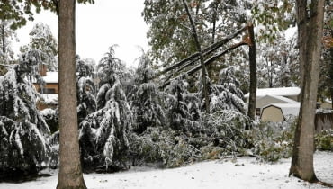 Połamane gałęzie to wynik obfitych opadów mokrego ciężkiego śniegu i silnego wiatru. Połamane gałęzie to wynik obfitych opadów mokrego ciężkiego śniegu i silnego wiatru.