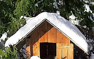 Ocieplamy budy psów i kotów, aby nasi czworonożni przyjaciele bez uszczerbku przetrwali zimne noce. 17.02.2003 KAMIENCZYK STARE LAKI ZIMA SNIEG BUDA DLA PSA FOT. PAWEL SLOMCZYNSKI / AGENCJA GAZETA