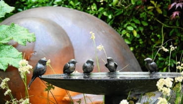 Na metalowej misie z wodą zastygły wszędobylskie wróble.