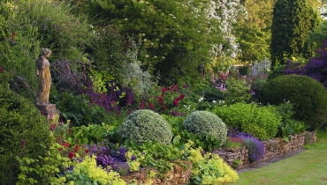 rabata w angielskim stylu A colourful border of Alchillea, Heuchera, Bergenia and roses with Euonymus fortunei balls - Whichford House story SLOWA KLUCZOWE: Alchemilla mollis August Ball Beet B lle Euonymus Farbe Figur Garten Heuchera Kugel Kugeln Land Laub Purpurgl^ckchen Rosa Sommer Spindelstr ucher Statue Topiari Topiary englisch englische uk
