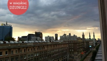 Widok z okna autorki w miejskiej dżungli, ciekawe miejsca
