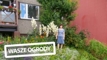 Ogród przy balkonie Ogród przy balkonie