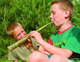 Koncert na trąbę z... kory Koncert na trąbę z... kory