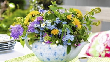 W dzbanku do herbaty zagościły niedoceniane kwiaty wprost z łąki, np. mniszek zwany mleczem, driakiew, niezapominajki oraz liście ziół WiesenblumenstrauR mit Vergissmeinnicht, LUwenzahn, ErdbeerblŁten, Scabiosen, Waldmeister, Farnkraut, ImmergrŁn, Wilder Storchschnabel/Ruprechtskraut SLOWA KLUCZOWE: blŁhend Blume BlumenstrauR BlŁte Kanne Myosotis StrauR Tee Teekanne Vergissmeinnicht Wiesenblume WiesenblumenstrauR