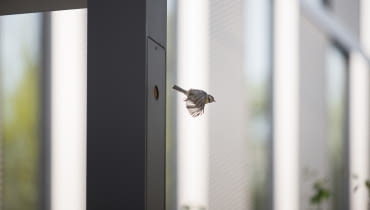 'Lampa w ciąży' - w jednej z lamp stojącej przy biurowcu Za bramką w Poznaniu zalęgły się sikorki 'Lampa w ciąży' - w jednej z lamp stojącej przy biurowcu Za bramką w Poznaniu zalęgły się sikorki