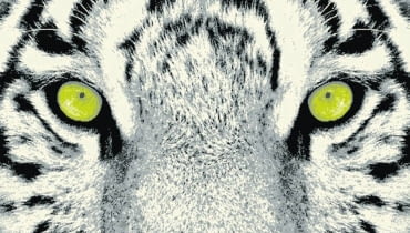 DO 1000 zł: Flash, polipropylen, 160 x 225 cm, Komfort, 299 zł